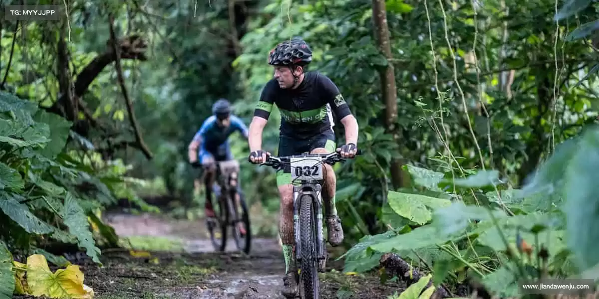 行业领先的理由